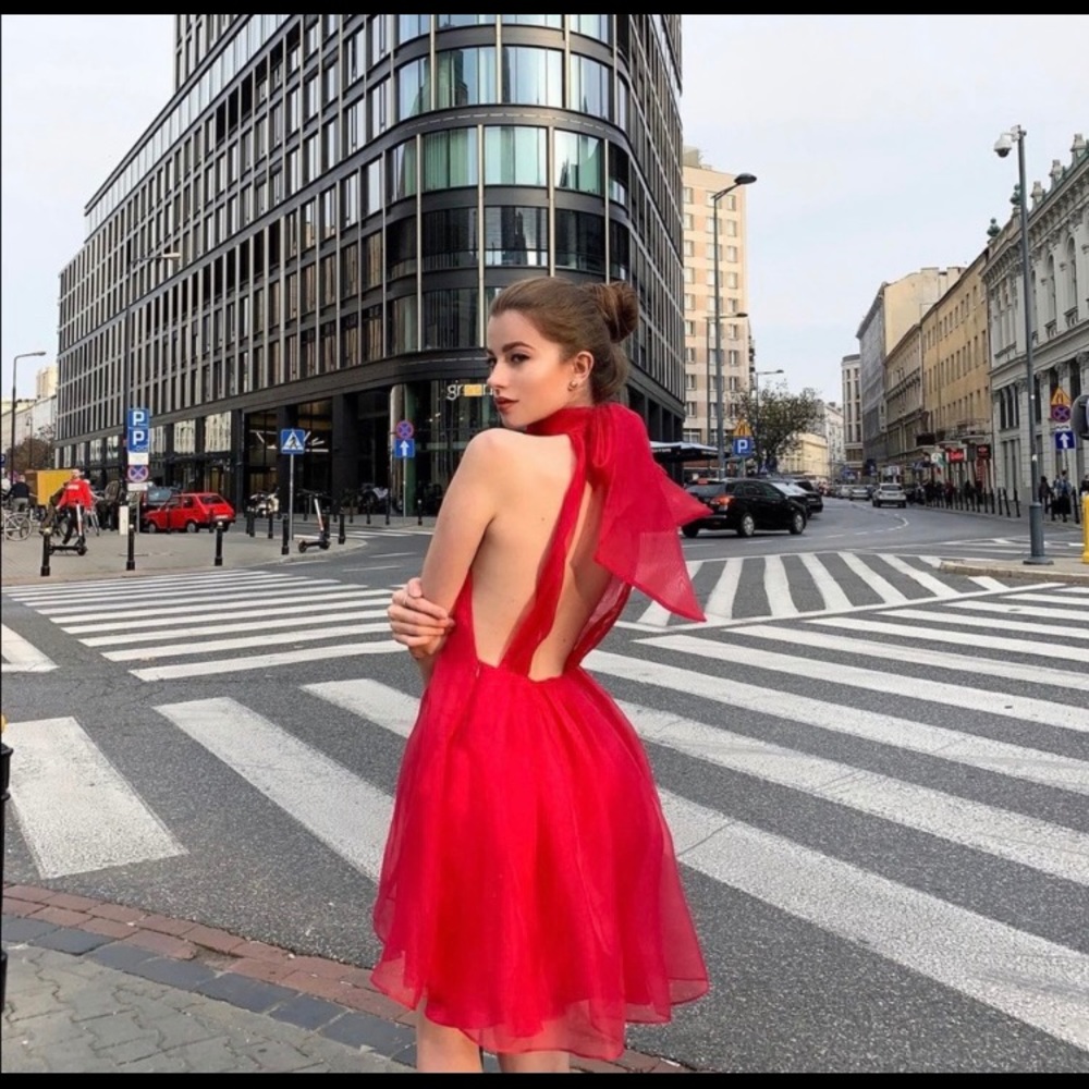 Zara red organza dress